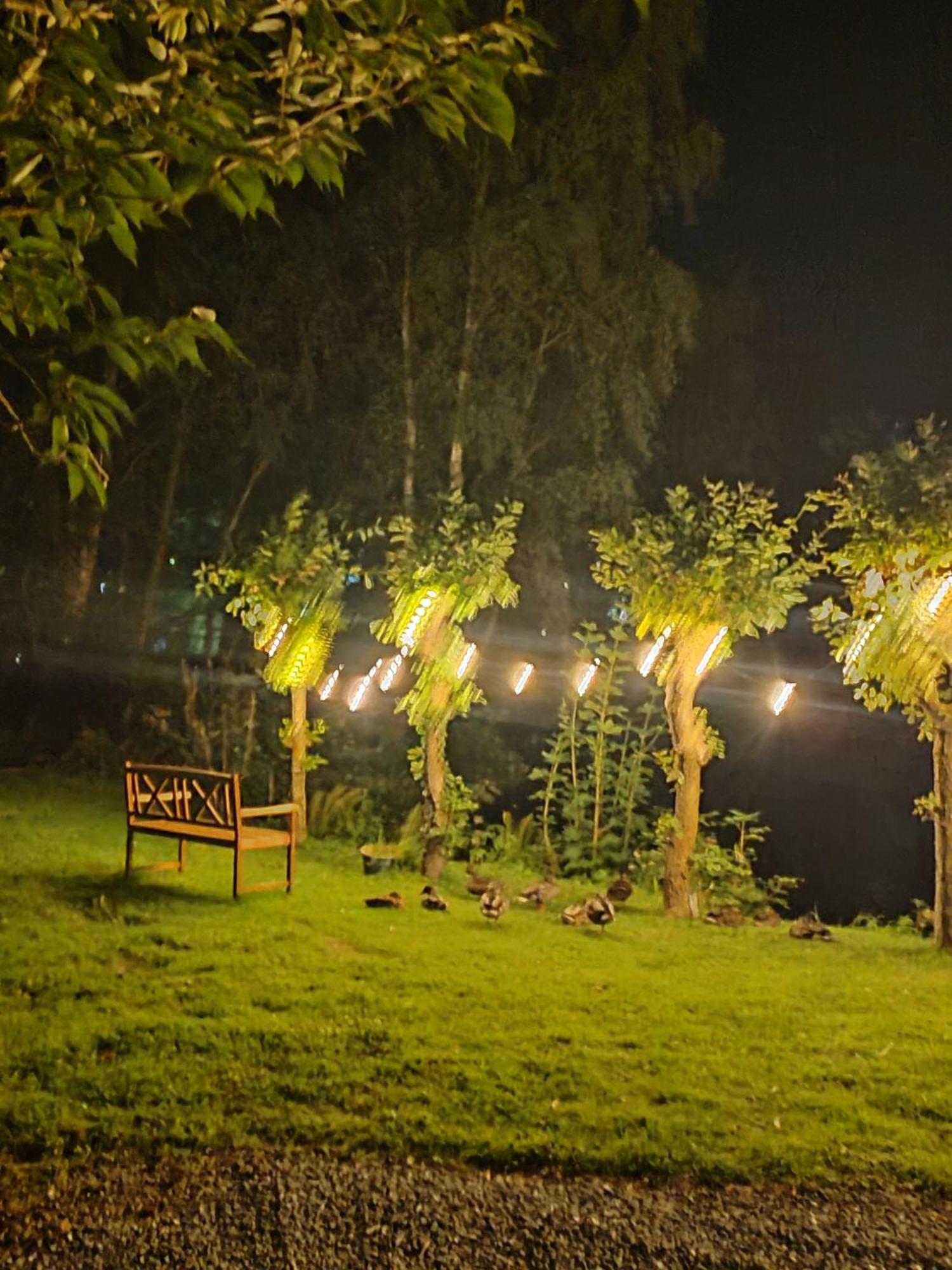 ברמאות' Bryn Mynach Guest House מראה חיצוני תמונה